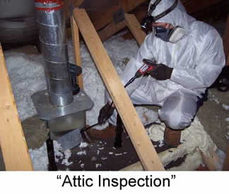 attic inspection