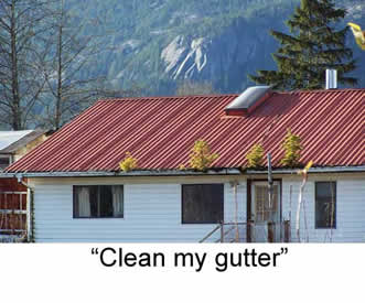 clean my gutters